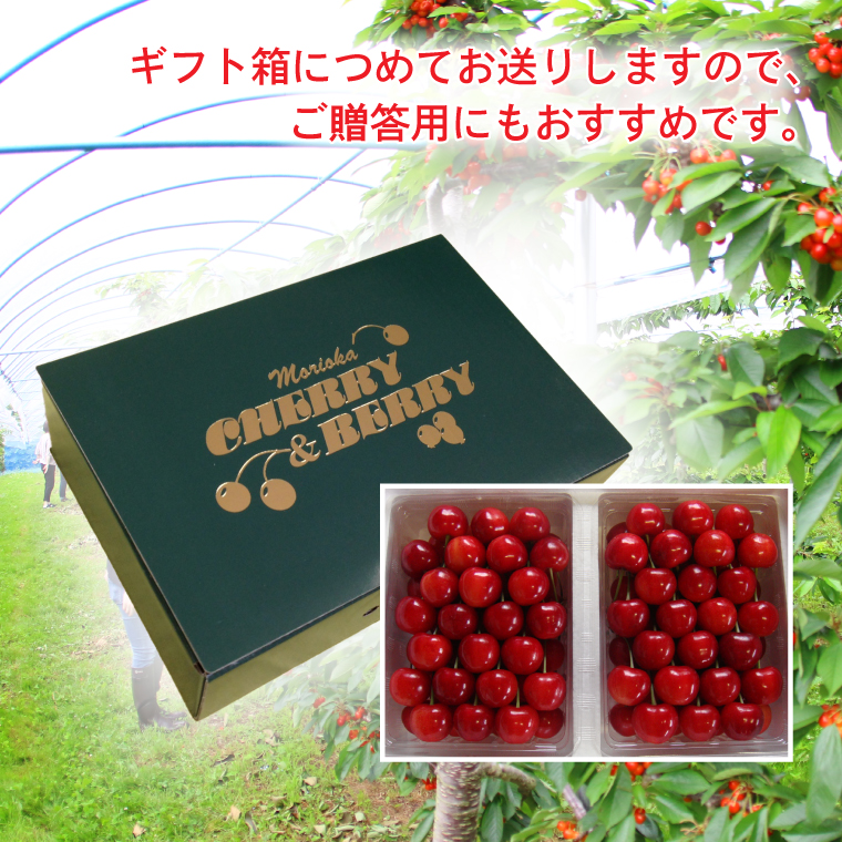 さくらんぼ【数量限定・先行予約】＼品種おまかせ／さくらんぼ食べくらべセット (佐藤錦or紅秀峰1パック + 農家さんおまかせ1パック) 合計2パック 約700g (EM001)