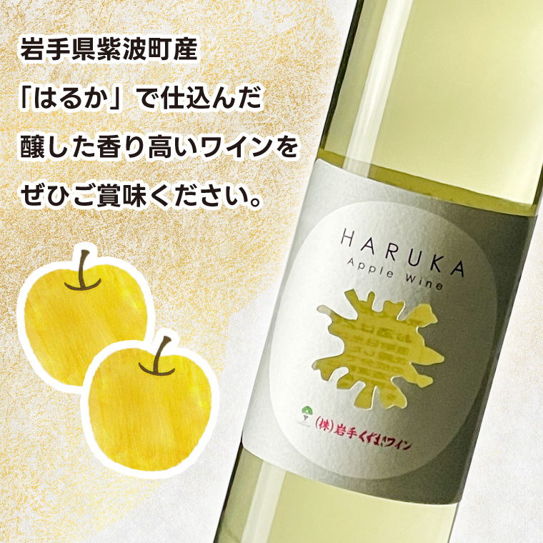 はるか りんごワイン ２本セット【ワイン フルーツワイン 岩手県 紫波町産 りんご】（EX002） りんごワイン ２本セット