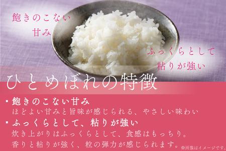 ★令和7年産★ひとめぼれ 10kg（5kg×2袋）岩手県紫波町産【特別栽培米】(AD051) 単品 10kg