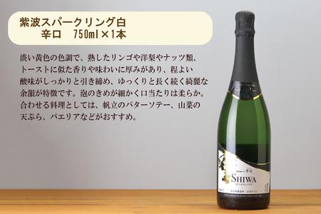 AL065-1　紫波スパークリングワイン２本セット（白・ロゼ）