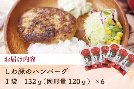 無添加ハンバーグ【しわ豚】ハンバーグ６個 （AM005-2）