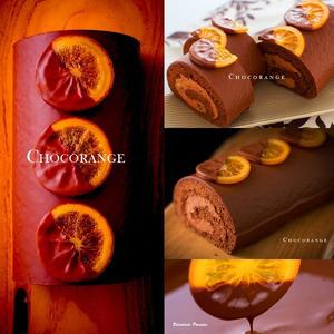 ショコランジュ (AQ025-6)