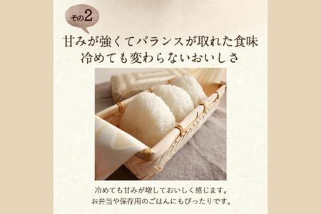 【令和6年産】「銀河のしずく 精米 10kg」 特別栽培米 生産者直送 特A受賞 | お米 コメ 精米 白米 (CA021)