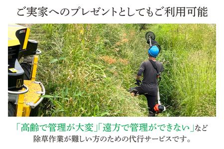 DQ001 【要事前連絡】草刈り、除草作業サービス（農地、空き地、空き家等）