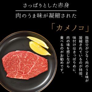 ＼贈り物・ギフトに最適／ いわて牛 希少部位3種とサーロインステーキ ステーキ 詰め合わせ 500g 岩手県 紫波町 ふるさと納税 ステーキ 高級肉 黒毛和牛 ステーキ肉 牛肉 モモ ステーキ 霜降り 赤身肉 肉 和牛 牛肉 のし 熨斗対応 ふるさと納税おすすめ ギフト 贈答 お歳暮 内祝い (DV011) 希少部位3種 + サーロイン