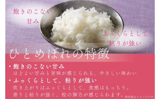 ★ 令和8年産 新米 ★【無洗米】岩手県産ひとめぼれ5kg お米 ご飯 ライス 岩手県産 白米 ごはん (AE173)