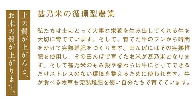 ＼令和6年産／ 【2ヵ月定期便】ひとめぼれ 白米 10kg 【甚乃米 特別栽培米】 さめても美味しい おこめ 白米 岩手県 紫波町産 (AC027)