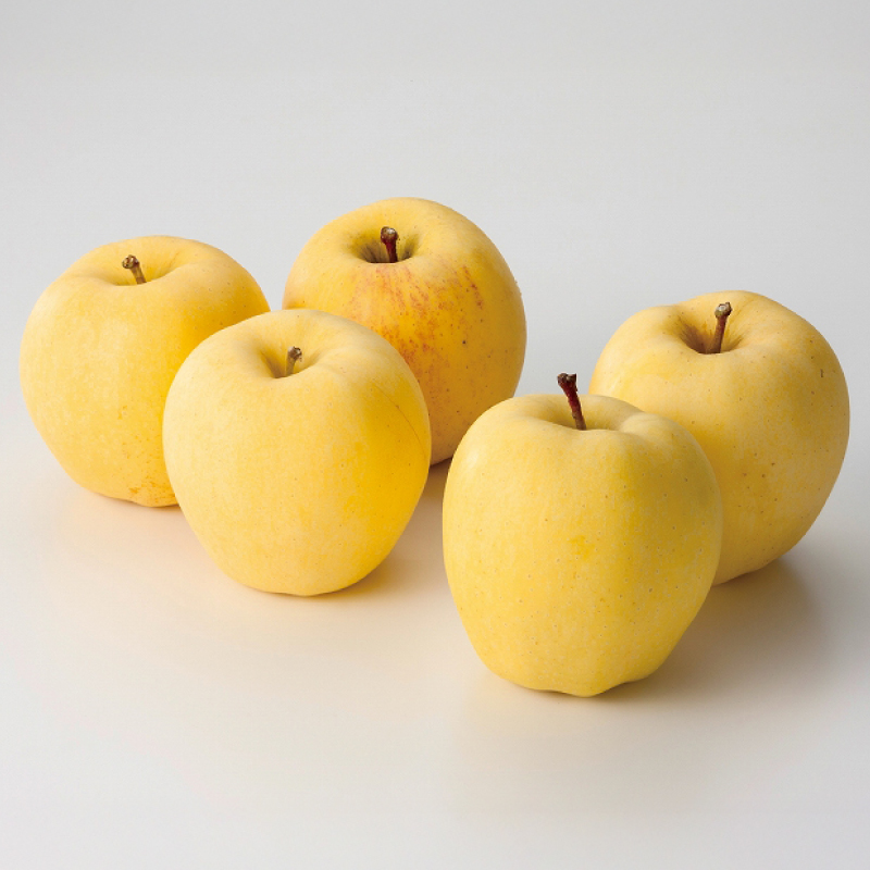 りんご はるか 「冬恋はるか」 約2.5kg 糖度15度以上【先行予約 12月発送予定】 数量限定 岩手県産 りんご リンゴ 林檎 冬恋 はるか フルーツ くだもの 果物 【冬恋研究会】 (AI022) 冬恋はるか