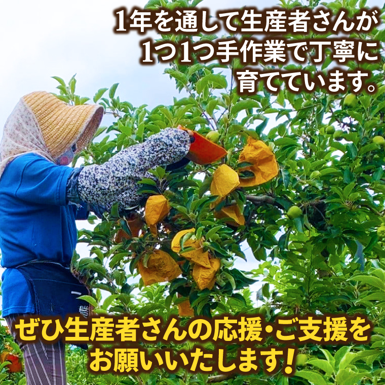 りんご はるか 「プレミアム 冬恋はるか」 約2.5kg 糖度16度以上【先行予約 12月発送予定】 数量限定 岩手県産 高級 りんご リンゴ 林檎 冬恋 はるか フルーツ くだもの 果物 【冬恋研究会】 (AI021) プレミアム冬恋
