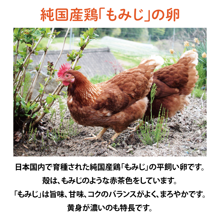 【純国産鶏もみじ】平飼い卵30個入り (破損保証5個含む)【3ヶ月連続お届け】 (AJ024) 定期便 3ヶ月
