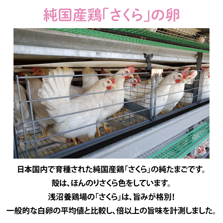 純国産鶏【さくら】純たまご30個入り (破損保証5個含む)【6ヶ月連続お届け】 (AJ029)