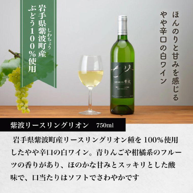 ＼贈り物・ギフトに最適／ 産地限定 ワインぶどう品種使用 自園自醸ワイン紫波 辛口ワイン2本セット ふるさと納税 紫波町産 テロワール ワイン （AL045-1）