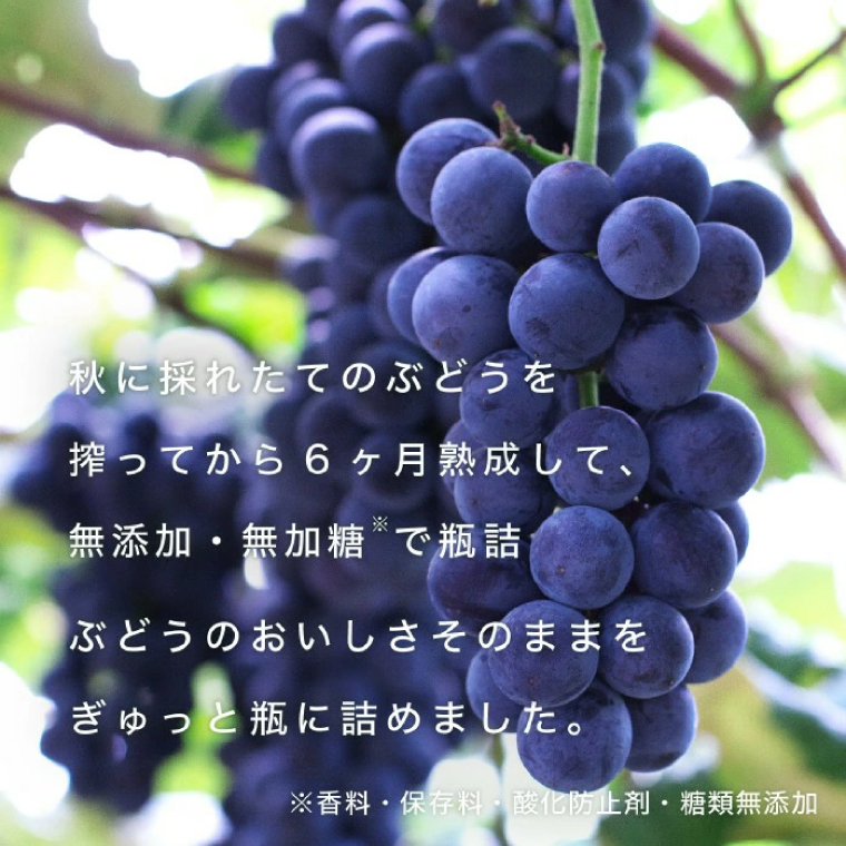 ＼先行予約／＼贈り物・ギフトに最適／ 無添加 無加糖 100%ストレート 濃厚 6か月熟成「紫波町のぶどうジュース２本セット」(AL062-1)
