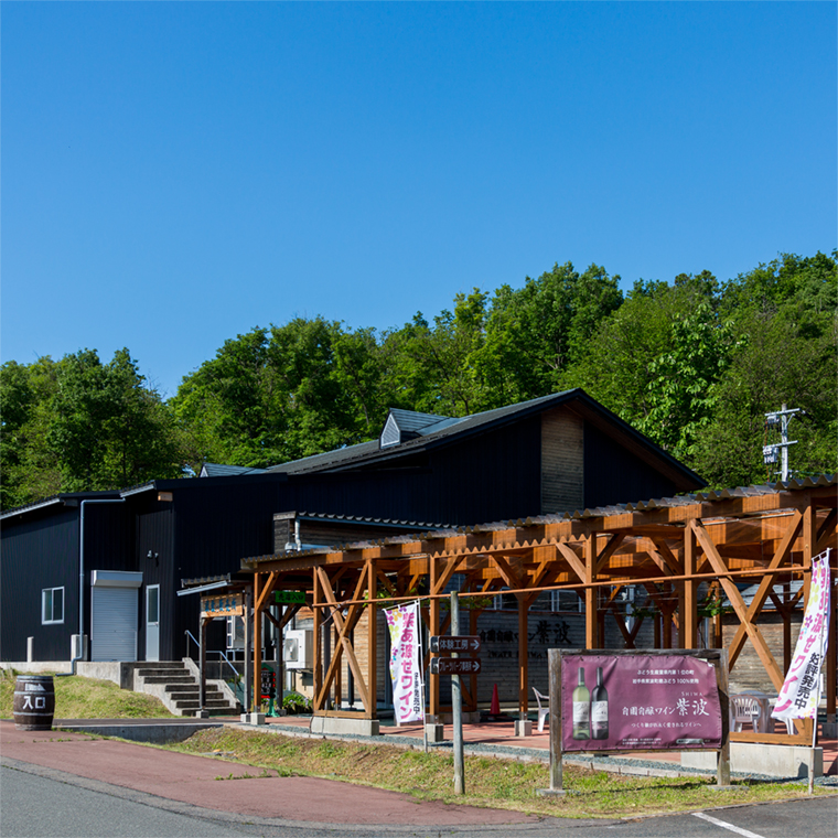 【ギフト箱入り】樽熟成ワイン赤白２本セット(マスカットベーリーＡ樽熟成・シャルドネ樽熟成) (AL086) ワイン 辛口 赤 白 ブドウ 国産ワイン 自園自醸ワイン 日本ワイン 紫波町