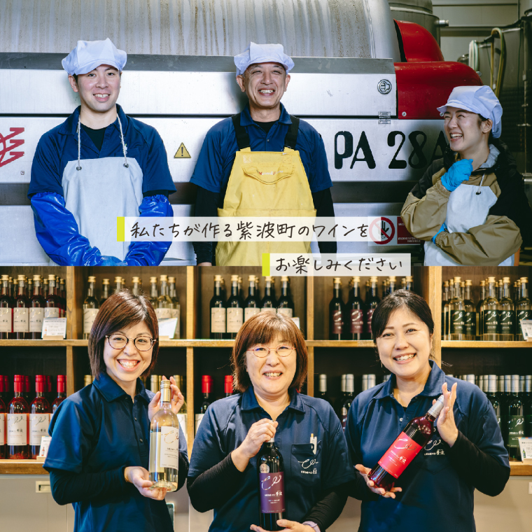 自園自醸ワイン紫波 ミニボトル飲み比べ5本セット (AL104) ワイン 甘口 辛口 赤 白 ロゼ ブドウ ミニボトル 国産ワイン 自園自醸ワイン 日本ワイン 紫波町