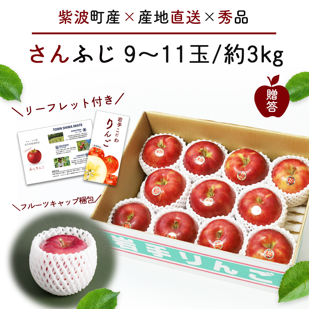 サンふじ 3kg 贈答用 りんご 岩手 紫波町産 秀品 (DV053)