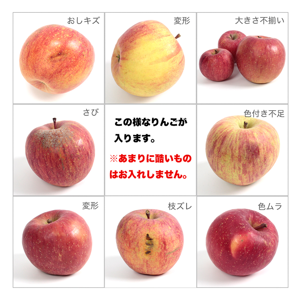 サンふじ 5kg 訳あり りんご 紫波町産 (DV054)