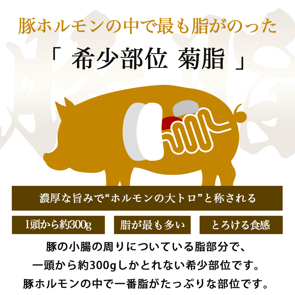 国産豚ホルモン 大トロ キクアブラ 750g (150g×5)（DV067） 750g (150g×5)