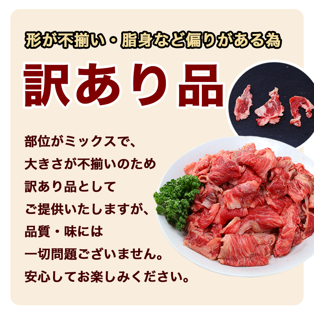 ★先行予約 2月中旬より発送★ 国産牛切り落とし500g（250g×2パック）（DV070） 500g（250g×2パック）