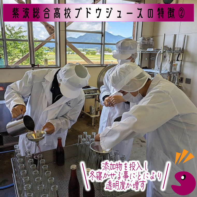 ＼紫波の高校生が作りました！／紫波町産 ぶどうジュース 300ml 4本入り｜ 岩手 紫波町 ぶどうジュース 紫波 高校 岩手県立紫波総合高等学校 選べる フレッシュ(EC002)