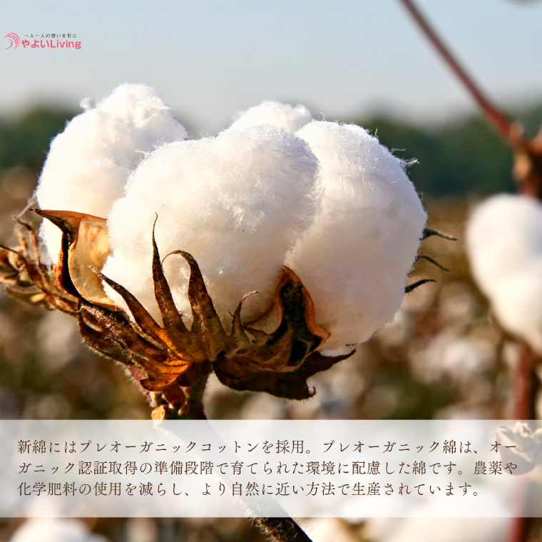 ＼受注生産・職人手作りふとん／綿ふとん打ち直しサービス【仕上がり：シングル掛ふとん】 (EO019)