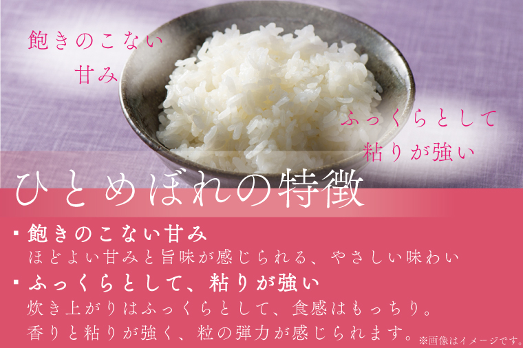 【 新米 】【9回定期便】お米 5kg ( 総計45kg ) 白米 ひとめぼれ 特別栽培米 ★令和8年産★ 精米 米 おこめ ご飯 令和8年 特別栽培 仕送り お弁当 5キロ 定期便 定期 コメ 岩手県 紫波町産 [AD080] 【令和8年産】 9回定期便