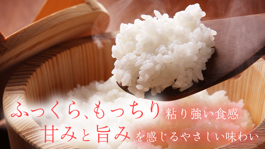 【 新米 】【6回定期便】お米 5kg ( 総計30kg ) 白米 ひとめぼれ 特別栽培米 ★令和8年産★ 精米 米 おこめ ご飯 令和8年 特別栽培 仕送り お弁当 5キロ 定期便 定期 コメ 岩手県 紫波町産 [AD079] 【令和8年産】 6回定期便