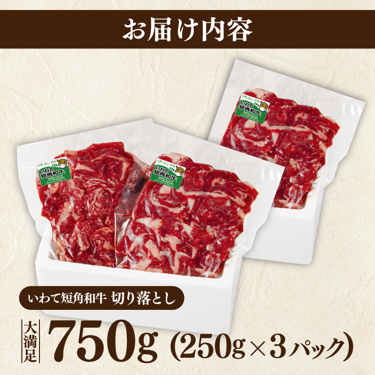＼9ヶ月連続 定期便／ 切り落とし 赤身 肉 牛肉 いわて 短角和牛 750g (総計 6750g) 小分けパック 真空冷凍 | 牛肉 肉 赤身 短角 和牛 国産牛 ブランド牛 切り落し 大容量 牛丼 肉じゃが 煮込み 煮物 小分け 真空パック 数量限定 (AB123) 9回 750g