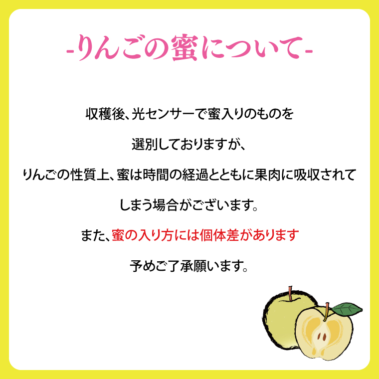 りんご はるか 「プレミアム 冬恋はるか」 約2.5kg 糖度16度以上【先行予約 12月発送予定】 数量限定 岩手県産 高級 りんご リンゴ 林檎 冬恋 はるか フルーツ くだもの 果物 【冬恋研究会】 (AI021) プレミアム冬恋