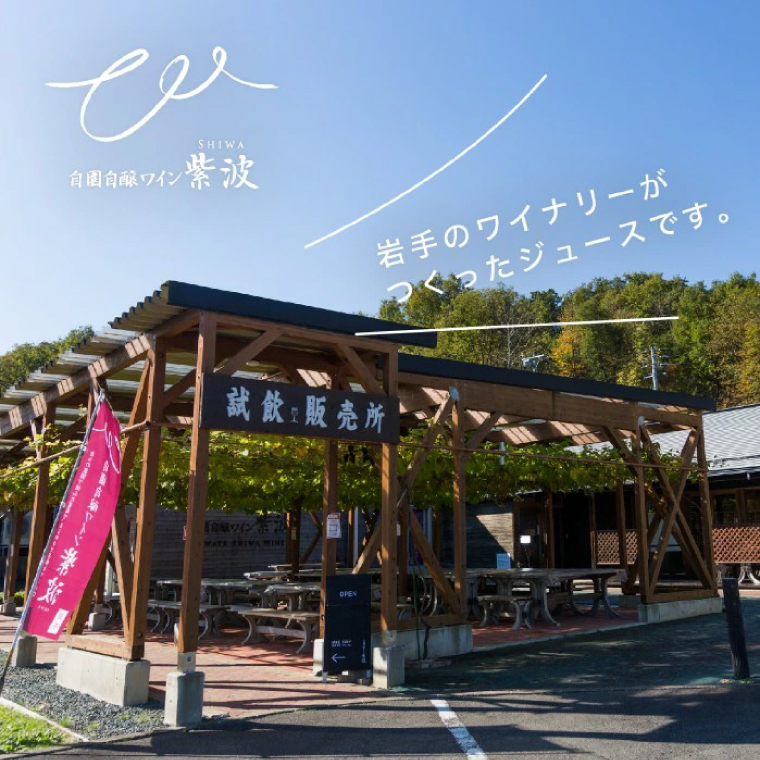 ＼先行予約／＼贈り物・ギフトに最適／ 無添加 無加糖 100%ストレート 濃厚 6か月熟成「紫波町のぶどうジュース２本セット」(AL062-1)