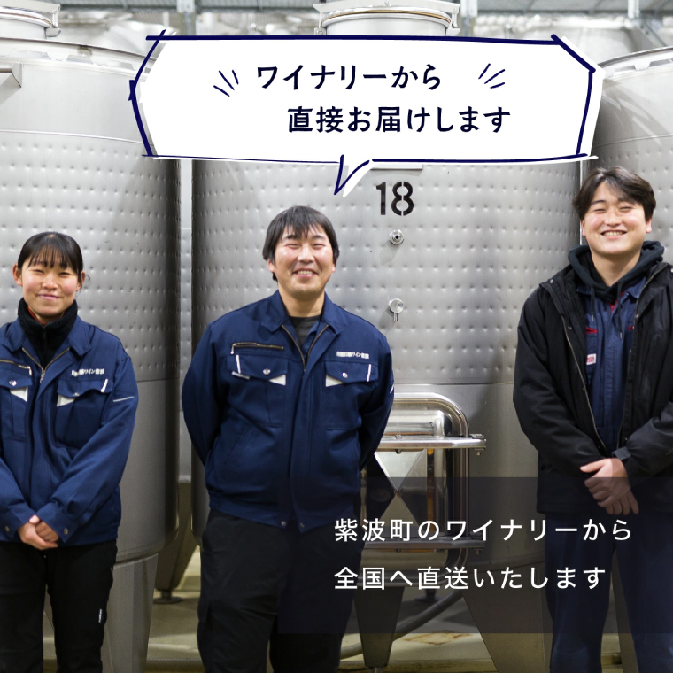 ＼贈り物・ギフトに最適／ 紫波町産 ワインぶどう 100% テロワール 「ワインコンクール受賞ワイン２本セット」 (AL071)