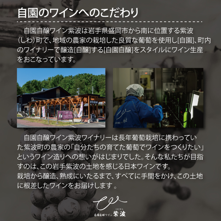 おすすめ赤ワイン３本セット【マスカットベーリーＡ樽熟成・プレミアムメルロー・メルロー】 (AL089) ワイン 辛口 赤 ブドウ 国産ワイン 自園自醸ワイン 日本ワイン 紫波町