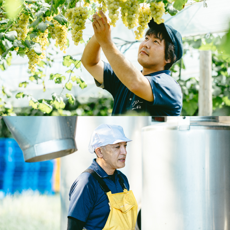 自園自醸ワイン紫波 ミニボトル飲み比べ5本セット (AL104) ワイン 甘口 辛口 赤 白 ロゼ ブドウ ミニボトル 国産ワイン 自園自醸ワイン 日本ワイン 紫波町