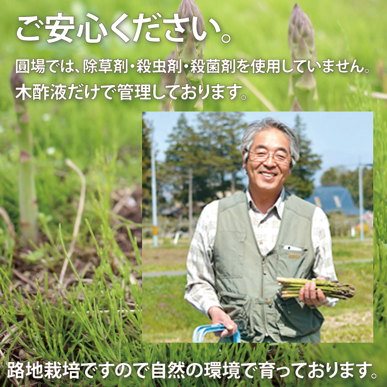 ＼先行予約・数量限定／紫波町産フルーツアスパラ ★Lサイズ以上★ 約1.2kg (150g束×8束入り) 露地栽培の野菜 木酢液防虫 新鮮野菜 生でもたべれる (CS002)