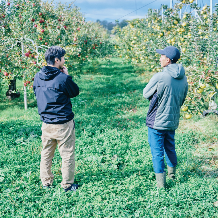 Green Neighbors Hard Cider FLAGSHIP 6本set (DRY)【毎月数量限定】(DB015) 6本