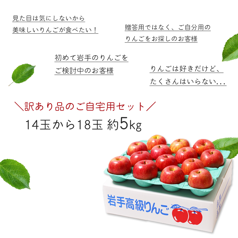 サンふじ 5kg 訳あり りんご 紫波町産 (DV054)