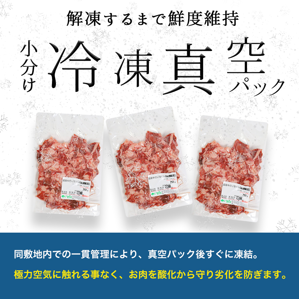 ★先行予約 2月中旬より発送★ 国産牛切り落とし1kg（250g×4パック）（DV071） 1kg（250g×4パック）