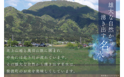 ★ 令和8年産 新米 ★ 岩手県産 ひとめぼれ 10kg 精米 米 こめ お米 ご飯 ライス 白米 ごはん (AE171)