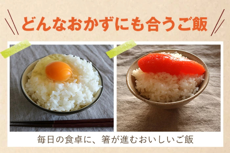【令和6年産】銀河のしずく 精米 5kg 特別栽培米 生産者直送 特A受賞 | お米 コメ 精米 白米 (CA020)