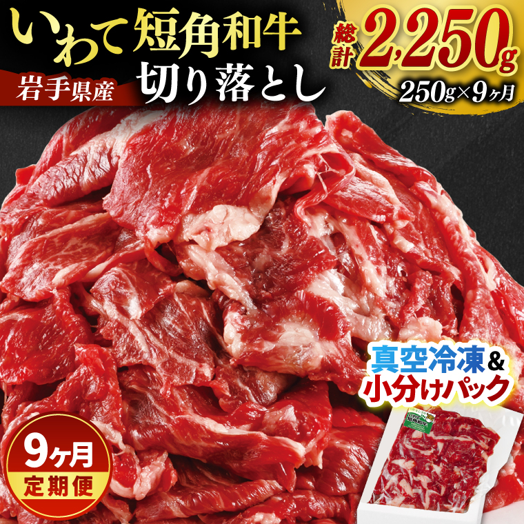 ★先行予約 2月下旬より発送★ ＼9ヶ月連続 定期便／ 切り落とし 赤身 肉 牛肉 いわて 短角和牛 250g (総計 2250g) 小分けパック 真空冷凍 | 牛肉 肉 赤身 短角 和牛 国産牛 ブランド牛 切り落し 大容量 牛丼 肉じゃが 煮込み 煮物 小分け 真空パック 数量限定 (AB113) 9回 250g