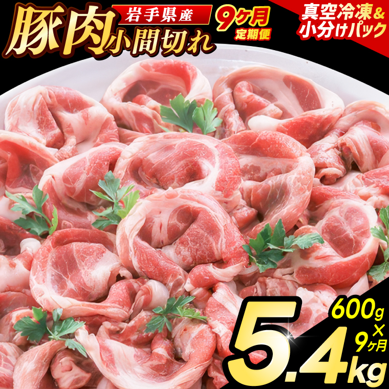 ＼9ヶ月連続 定期便／【岩手県産豚肉】小間切れ600g (300g×2パック) (総計 5.4kg) 大容量 肉 冷凍 小分け 肉じゃが しょうが焼き お弁当 おかず 岩手 いわちく 紫波町（AB137） 9回 300g×2パック