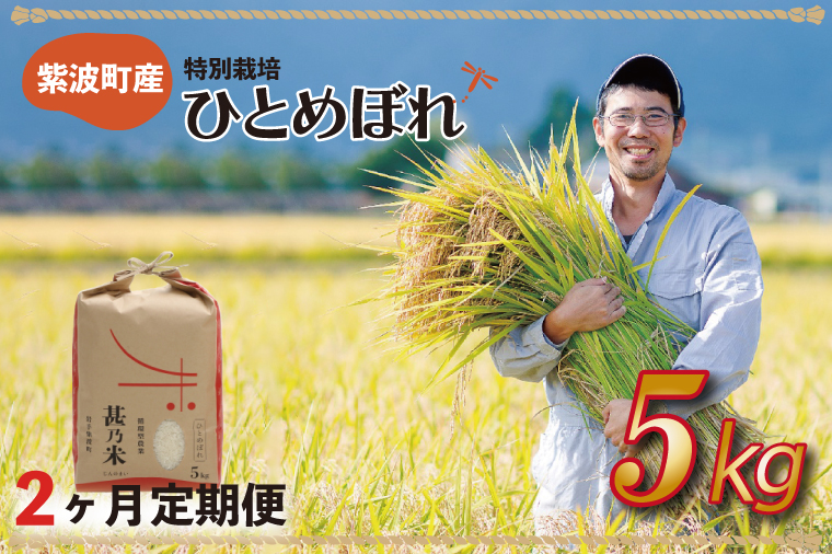 ＼令和6年産／ 【2ヵ月定期便】ひとめぼれ 白米 5kg 【甚乃米 特別栽培米】 さめても美味しい おこめ 白米 岩手県 紫波町産 (AC024)