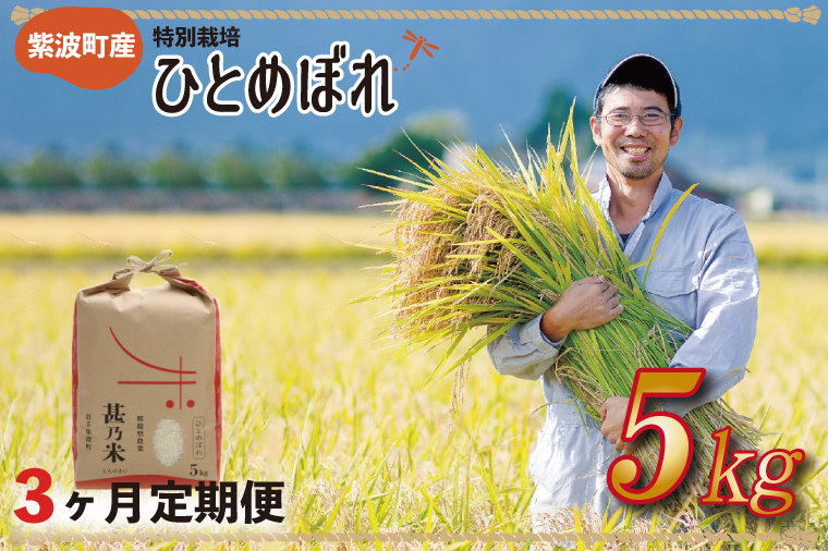 ＼令和6年産／ 【3ヵ月定期便】ひとめぼれ 白米 5kg 【甚乃米 特別栽培米】 さめても美味しい おこめ 白米 岩手県 紫波町産 (AC025)