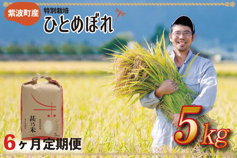 ＼令和6年産／ 【6ヵ月定期便】ひとめぼれ 白米 5kg 【甚乃米 特別栽培米】 さめても美味しい おこめ 白米 岩手県 紫波町産 (AC026)