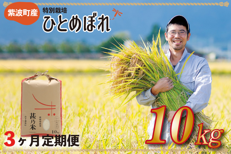＼令和6年産／ 【3ヵ月定期便】ひとめぼれ 白米 10kg 【甚乃米 特別栽培米】 さめても美味しい おこめ 白米 岩手県 紫波町産 (AC028)