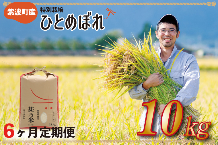 ＼令和6年産／ 【6ヵ月定期便】ひとめぼれ 白米 10kg 【甚乃米 特別栽培米】 さめても美味しい おこめ 白米 岩手県 紫波町産 (AC029)