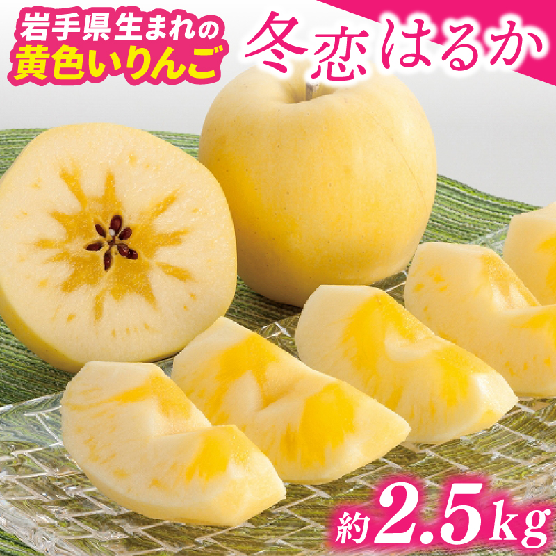 りんご はるか 「冬恋はるか」 約2.5kg 糖度15度以上【先行予約 12月発送予定】 数量限定 岩手県産 りんご リンゴ 林檎 冬恋 はるか フルーツ くだもの 果物 【冬恋研究会】 (AI022) 冬恋はるか