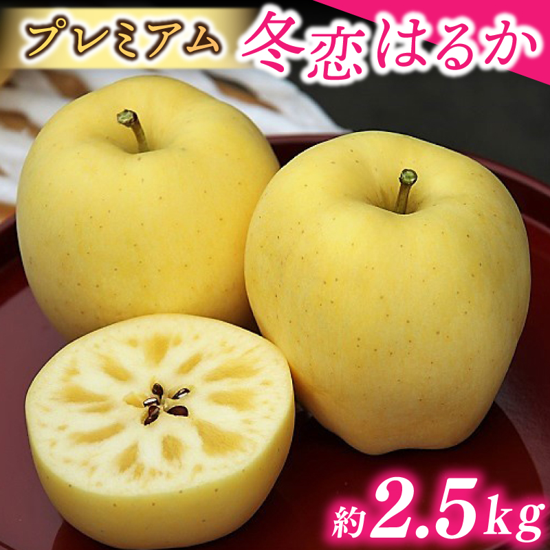 りんご はるか 「プレミアム 冬恋はるか」 約2.5kg 糖度16度以上【先行予約 12月発送予定】 数量限定 岩手県産 高級 りんご リンゴ 林檎 冬恋 はるか フルーツ くだもの 果物 【冬恋研究会】 (AI021) プレミアム冬恋