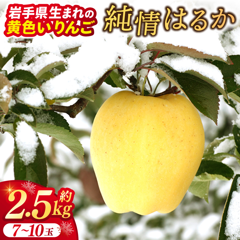 りんご はるか 「純情はるか」約2.5kg 糖度14度以上【先行予約 12月発送予定】数量限定 岩手県産 りんご リンゴ 林檎 はるか フルーツ くだもの 果物 訳あり 自家用 家庭用 【冬恋研究会】 (AI024) 純情はるか