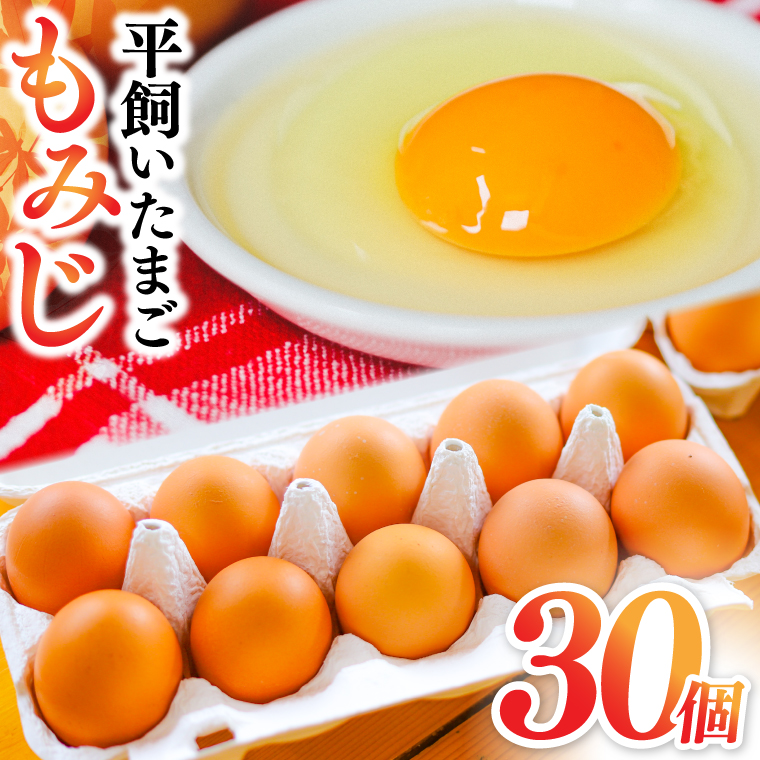 【純国産鶏もみじ】平飼い卵30個入り (破損保証5個含む) (AJ023) 30個